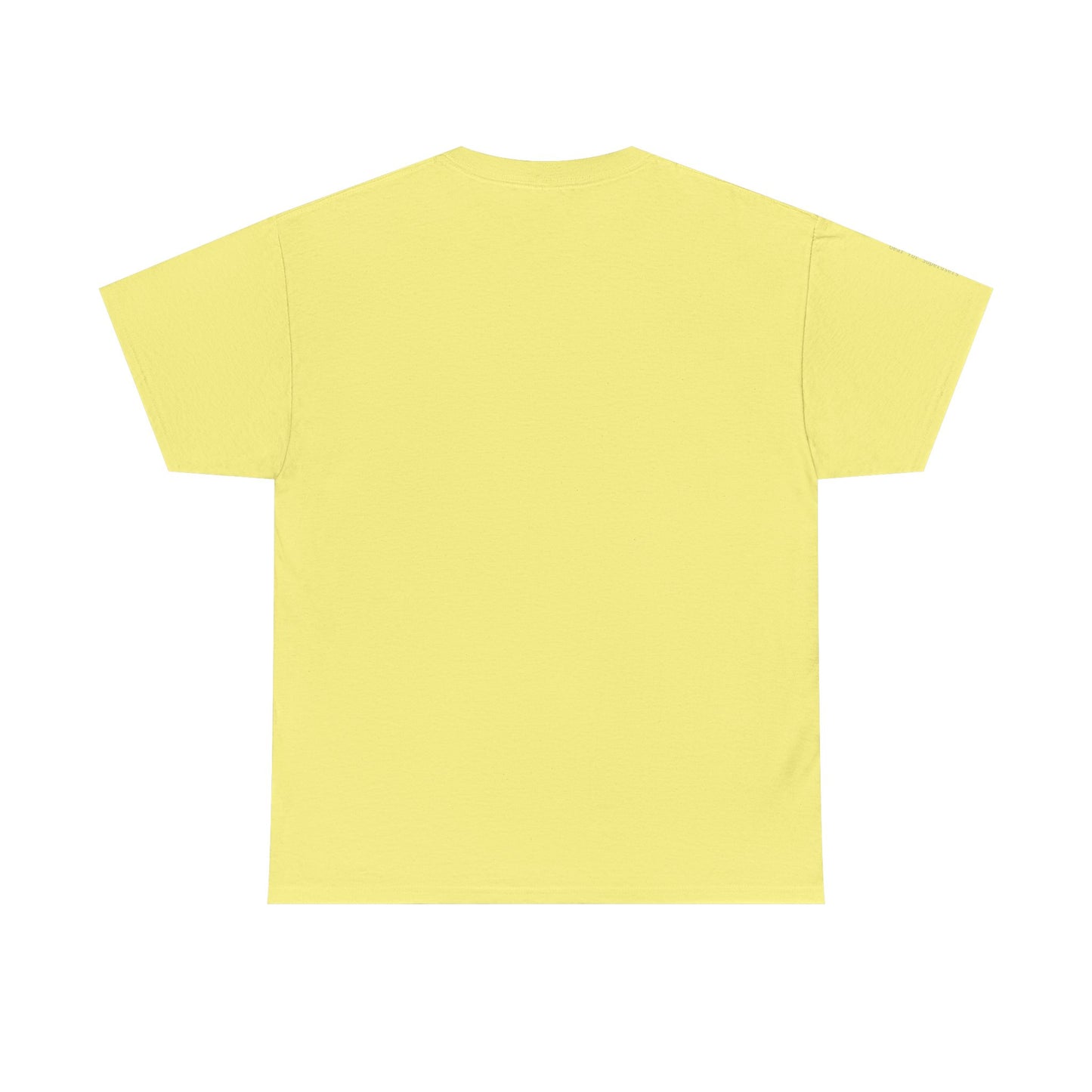 Prompt Engineer T-Shirt – AI & Tech Humor Tee for Coders, Creators & Innovators